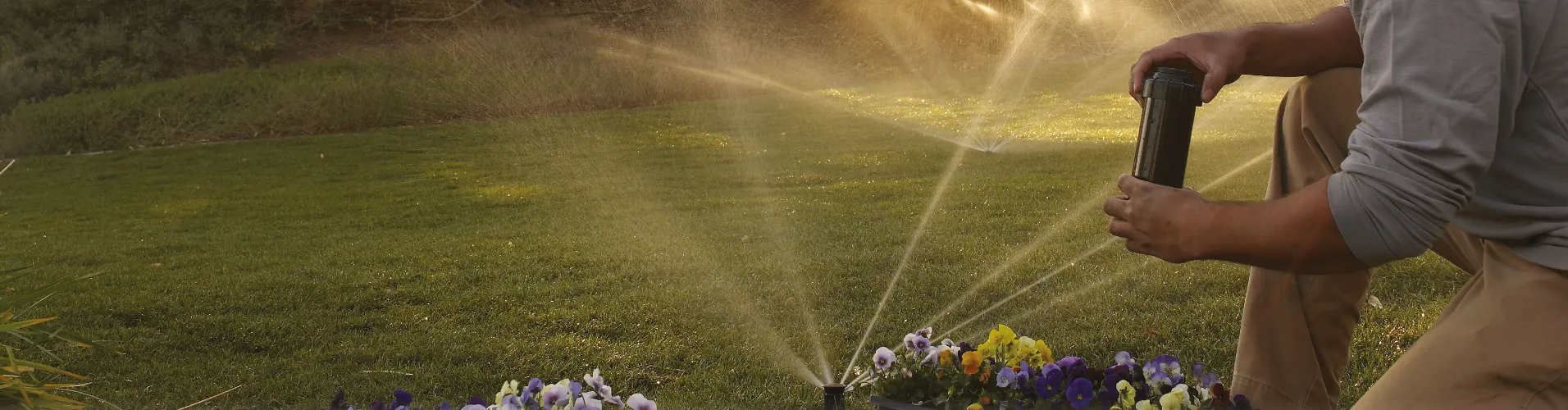 Riego por aspersión